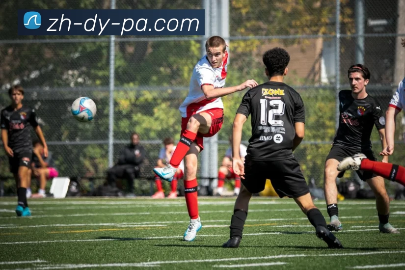 PA官网APP 封面图